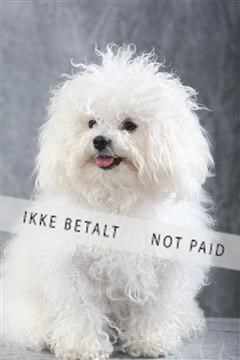 129608_le_ 01_0049.JPG