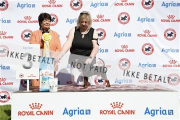 181564_ch_01__62_0201.JPG