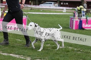 134871_ms_04_IMG_1802.JPG