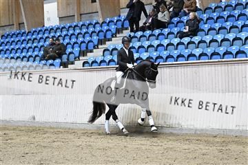 182241_kbb_01_Z094119.JPG