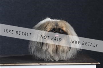 132082_le_ 01_IMG_1569.JPG