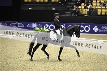 182194_kbb_01_Z096392.JPG