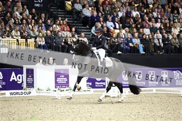 182194_avh_07_4344.JPG