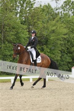 139835_sg_01_IMG_8356.JPG