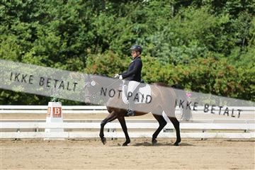 156196_nn_01_IMG_5895.JPG