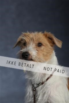 132082_le_ 01_IMG_0941.JPG