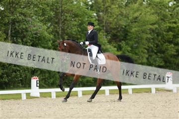 139835_sg_01_IMG_7583.JPG