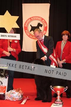 126827_tl_04_IMG_0209.JPG