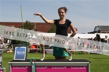 130370_se_02_IMG_6228.JPG