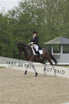 139835_sg_02_IMG_8682.JPG