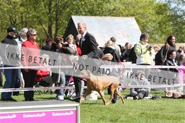 134871_ms_02_IMG_3291.JPG
