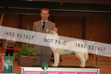 124188 _tl_02_IMG_9317.JPG