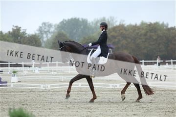 181923_mtp_03_R62_7767.JPG