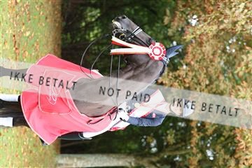 181923_mtp_03_R62_8241.JPG