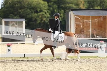 181894_mtp_03_R62_2821.JPG