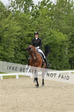 139835_sg_01_IMG_8275.JPG