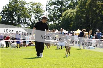 181564_kar_01__62_8038.JPG