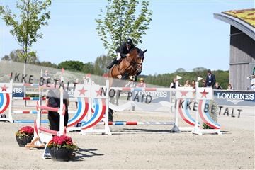 181436_avh_03_4896.JPG