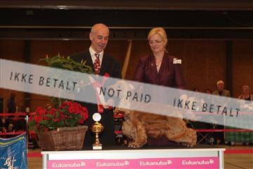 124188 _tl_02_IMG_9248.JPG