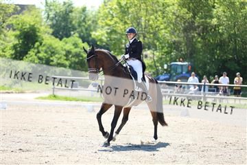168732_mtp_01_3M5A7052.JPG