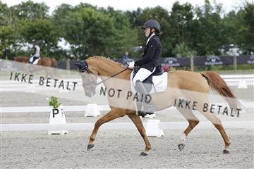 166078_rhj_01__J7R2210.JPG