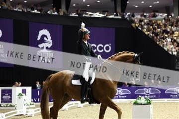 182194_avh_07_4141.JPG