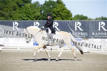 181449_kbb_01_6II9623.JPG