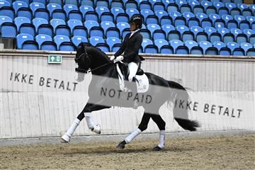 182241_kbb_01_Z094756.JPG