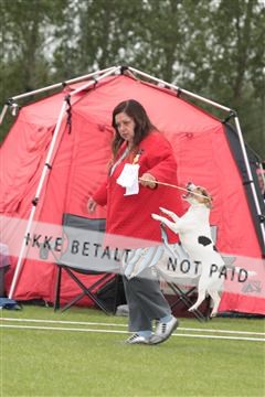 135379_tl_02_IMG_9261.JPG