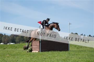 2019 Copenhagen Eventing Maja Hach Birkegaardens Beyonce 163761_KNF_01_KEE_065.jpg