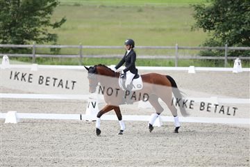 172030_mtp_01_3M5A1569.JPG