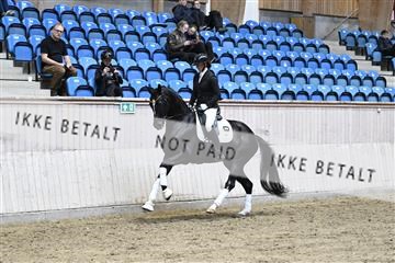 182241_kbb_01_Z094443.JPG