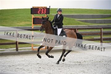 169152_abo_02_D05_1036.JPG