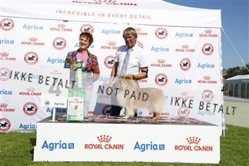 181564_kar_01__62_8199.JPG