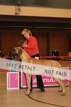 124188 _tl_02_IMG_9698.JPG