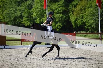 181449_kbb_01_6II9223.JPG