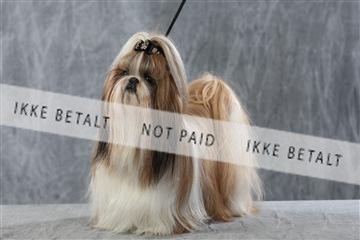 128239_le_kort_ 01_0383.JPG