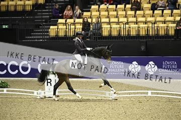 182194_kbb_01_Z096207.JPG