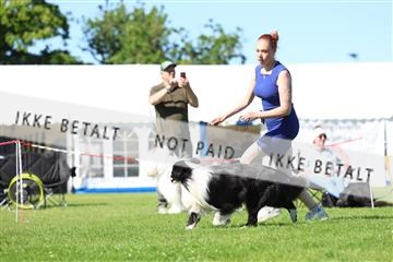 181564_rin_03_R62_9526.JPG