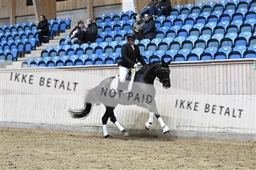 182241_kbb_01_Z093332.JPG