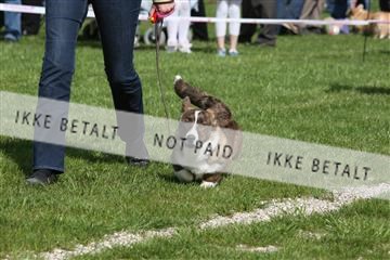 134871_ms_02_IMG_3603.JPG