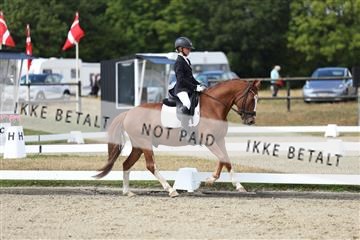 181894_mtp_05_R62_4472.JPG