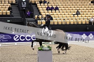 182194_kbb_03_Z099787.JPG