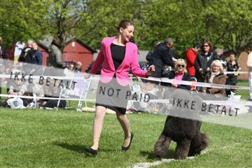 134871_ms_04_IMG_0336.JPG