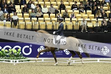 182194_kbb_03_Z090778.JPG