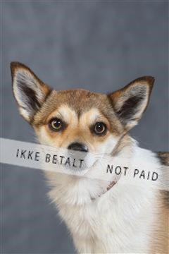 130054_le_ 03_0201.JPG