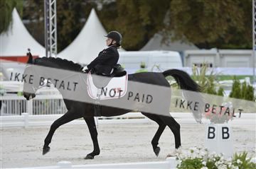 144462_bc_15__BC14495.JPG