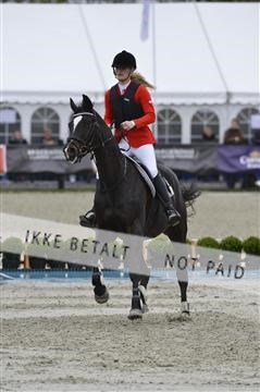 139644_abo_08__AB16046.JPG