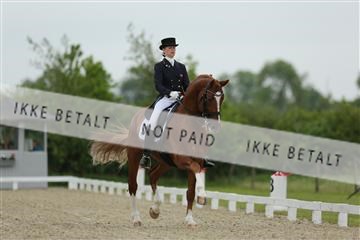 139835_sg_01_IMG_7462.JPG
