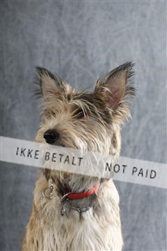 129608_le_ 01_0217.JPG